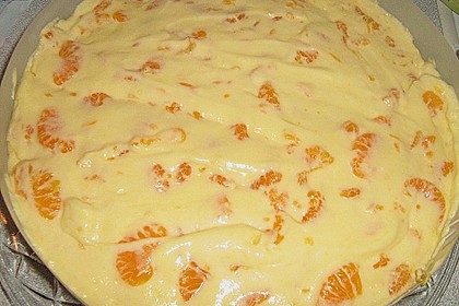 Sch&uuml;ttelkuchen