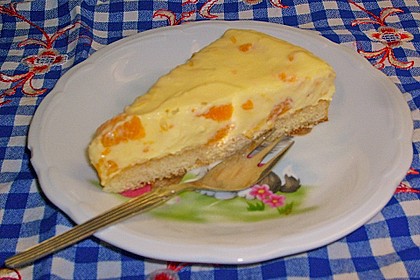 Sch&uuml;ttelkuchen 3