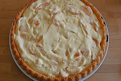 Sch&uuml;ttelkuchen 5