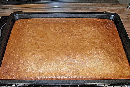 Zitronenkuchen 33