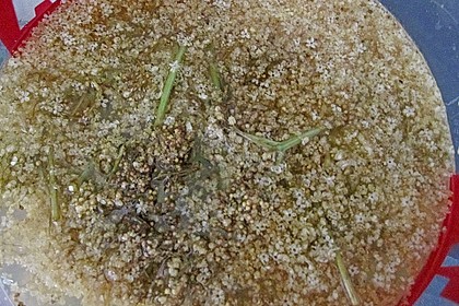 Holunderblüten - Sirup 10