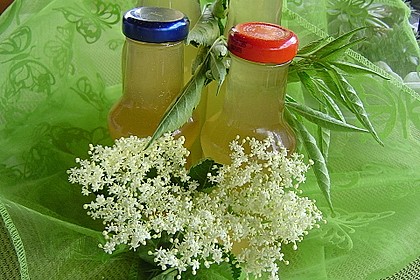 Holunderblüten - Sirup 4