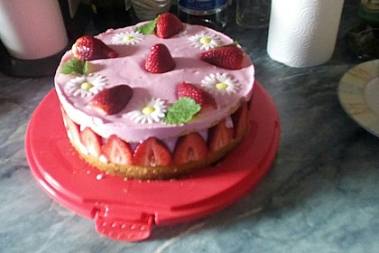 Erdbeer - Joghurt - Sahne - Torte 19