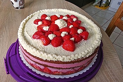 Erdbeer - Joghurt - Sahne - Torte 18