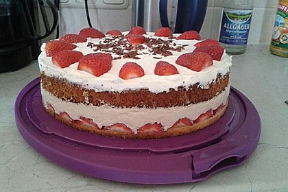 Erdbeer - Joghurt - Sahne - Torte 11