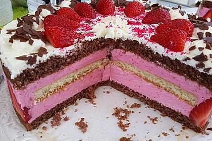 Erdbeer - Joghurt - Sahne - Torte 13