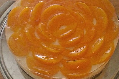 Joghurt - Quark - Torte 6