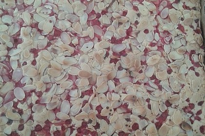 Obst - Blechkuchen 6