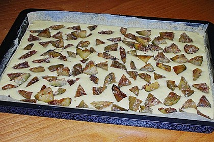 Obst - Blechkuchen 8