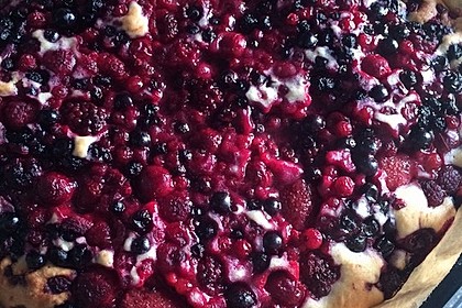 Obst - Blechkuchen