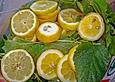 Melissensaft
