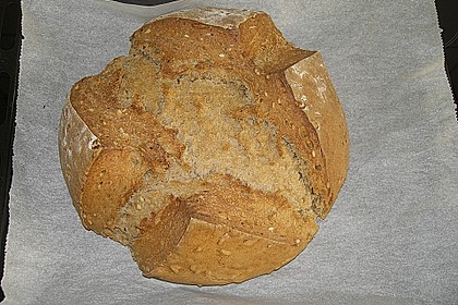 Koelkasts Hausbrot 32