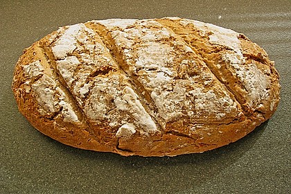 Koelkasts Hausbrot 43