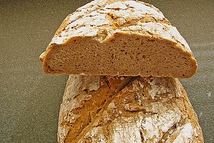 Koelkasts Hausbrot 44