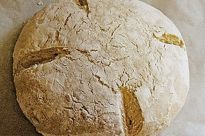 Koelkasts Hausbrot 51