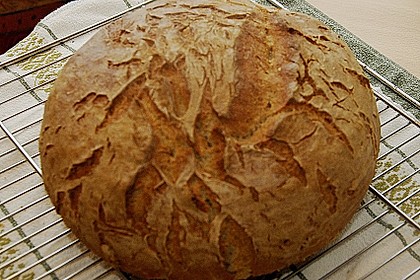 Koelkasts Hausbrot 54