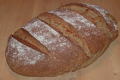 Koelkasts Hausbrot 64