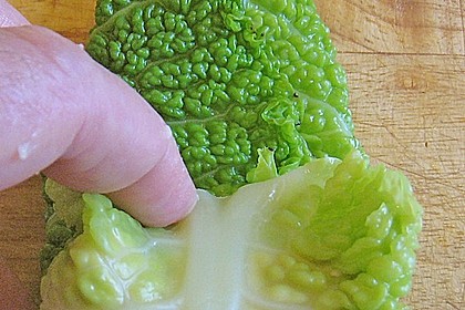 Schellfisch in Lachsfarce mit Wirsingmantel an Linsen und Pilzen in einer Sahnesauce 6
