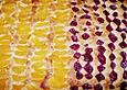 Mandarinen - Kuchen auf dem Blech