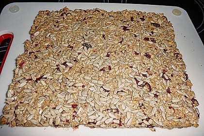 Honig - Riegel 1