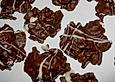 Schokoladencornflakes