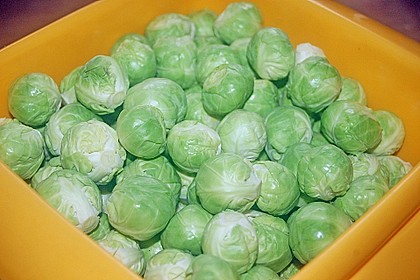 Rosenkohl 33