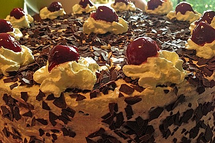 Schwarzwälder - Kirsch - Torte 35