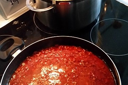 Bolognese 1