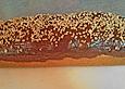 Marmorkuchen mit Nuss - Nougat - Creme