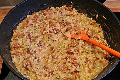 Pilzrisotto 31