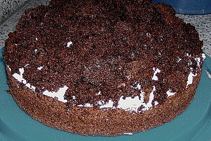 Maulwurftorte 18