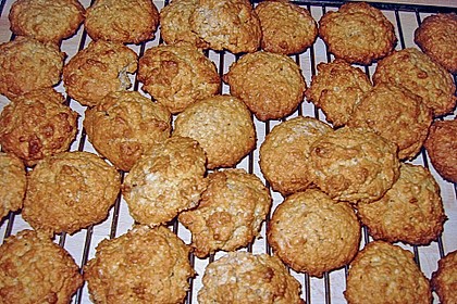 Haferflocken - Pl&auml;tzchen