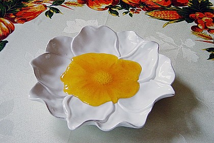 Aprikosen - Kürbis - Marmelade 9