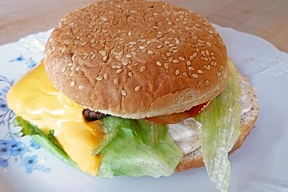 Hamburger 15