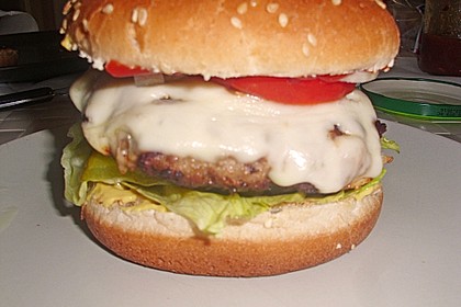 Hamburger 17