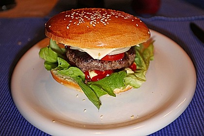 Hamburger 5