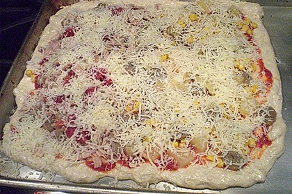 Pizzateig 3