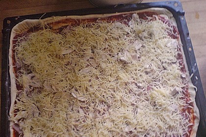Pizzateig 1