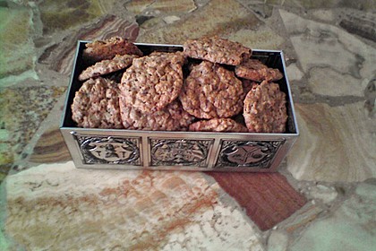Haferflocken Cookies 16