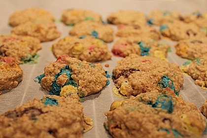Haferflocken Cookies 14