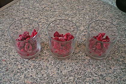 Himbeertraum 20