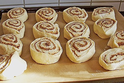 Nussschnecken 24