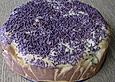 Saftiger Rosinenkuchen