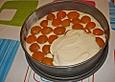 Aprikosen - K&auml;sekuchen ohne Boden