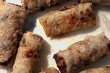 Vietnamesiche Fr&uuml;hlingsrolle