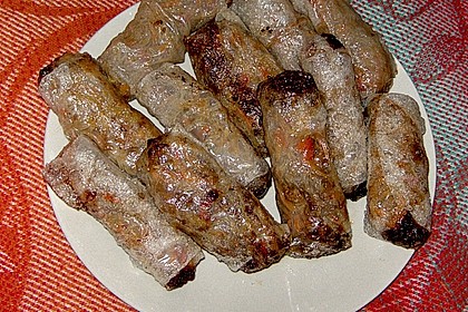 Vietnamesiche Fr&uuml;hlingsrolle 2