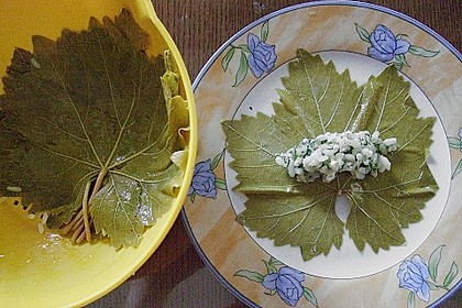 Dolmades 14