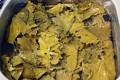 Dolmades 1