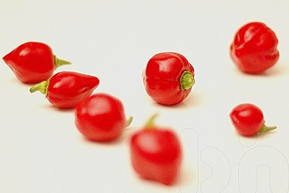 Habanero - Honig 4