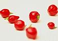 Habanero - Honig